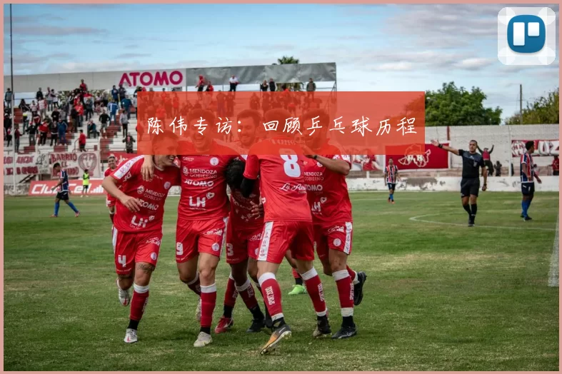 陈伟专访：回顾乒乓球历程