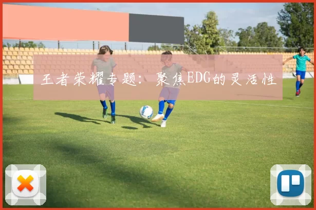 王者荣耀专题：聚焦EDG的灵活性